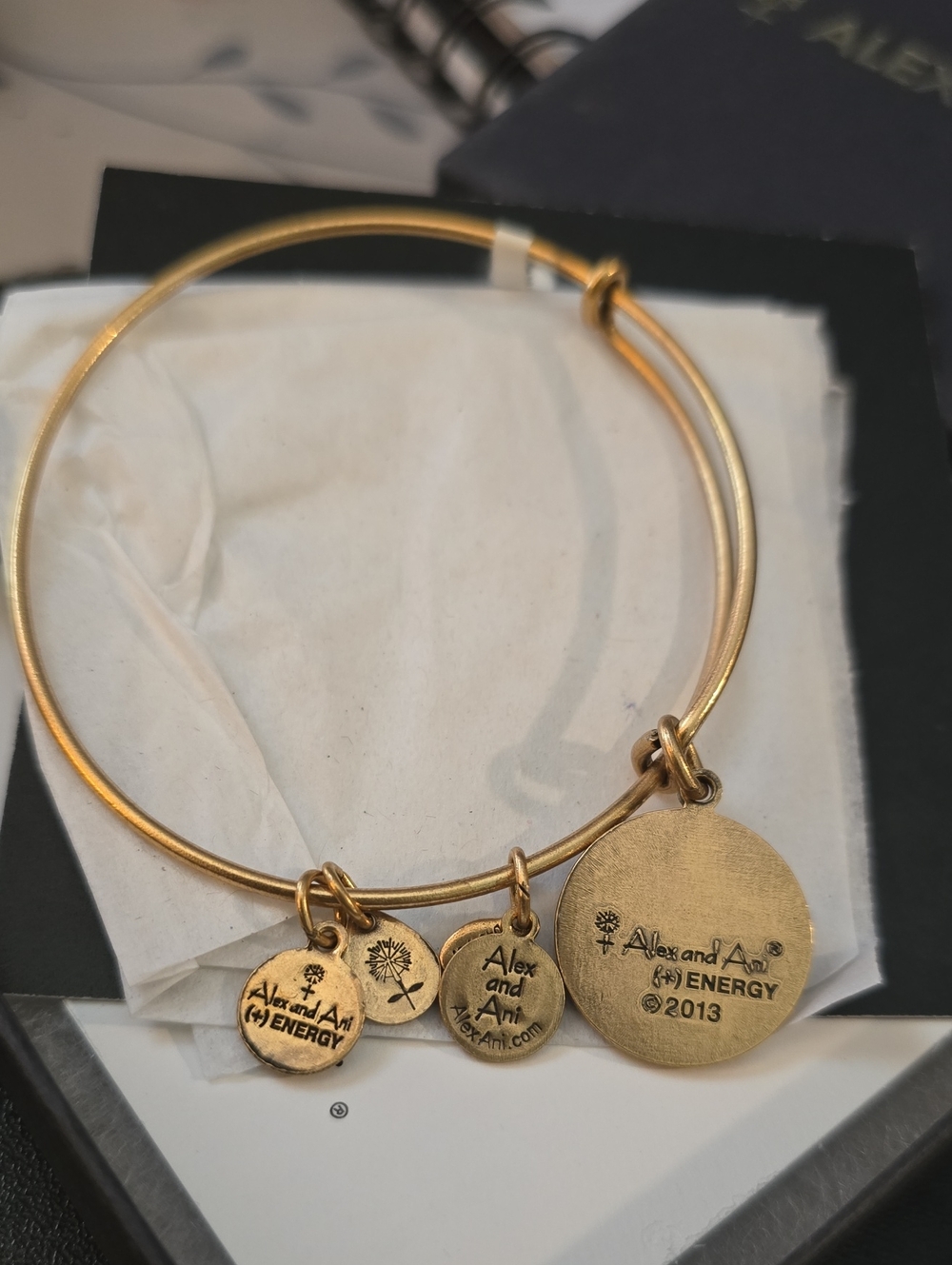 Alex and Ani Gold-Tone Energy Charm Bangle Bracelet